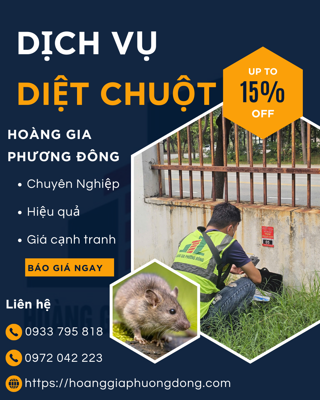 Dịch Vụ Kiểm Soát Chuột Chuyên Nghiệp – Giải Pháp An Toàn, Hiệu Quả